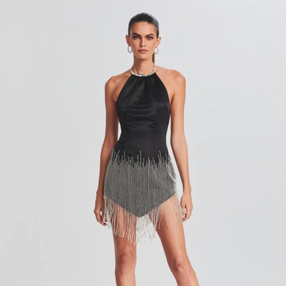 NWT Retrofete Eos Embellished Fringe Dress